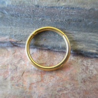 Thumbnail for Gold Hinged Segment Nose Hoop Ring