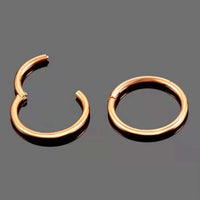 Thumbnail for Rose Gold Hinged Segment Nose Hoop Ring - 15% OFF