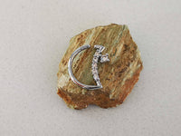 Thumbnail for Silver Moon Shaped Daith Earring